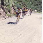 il gavia